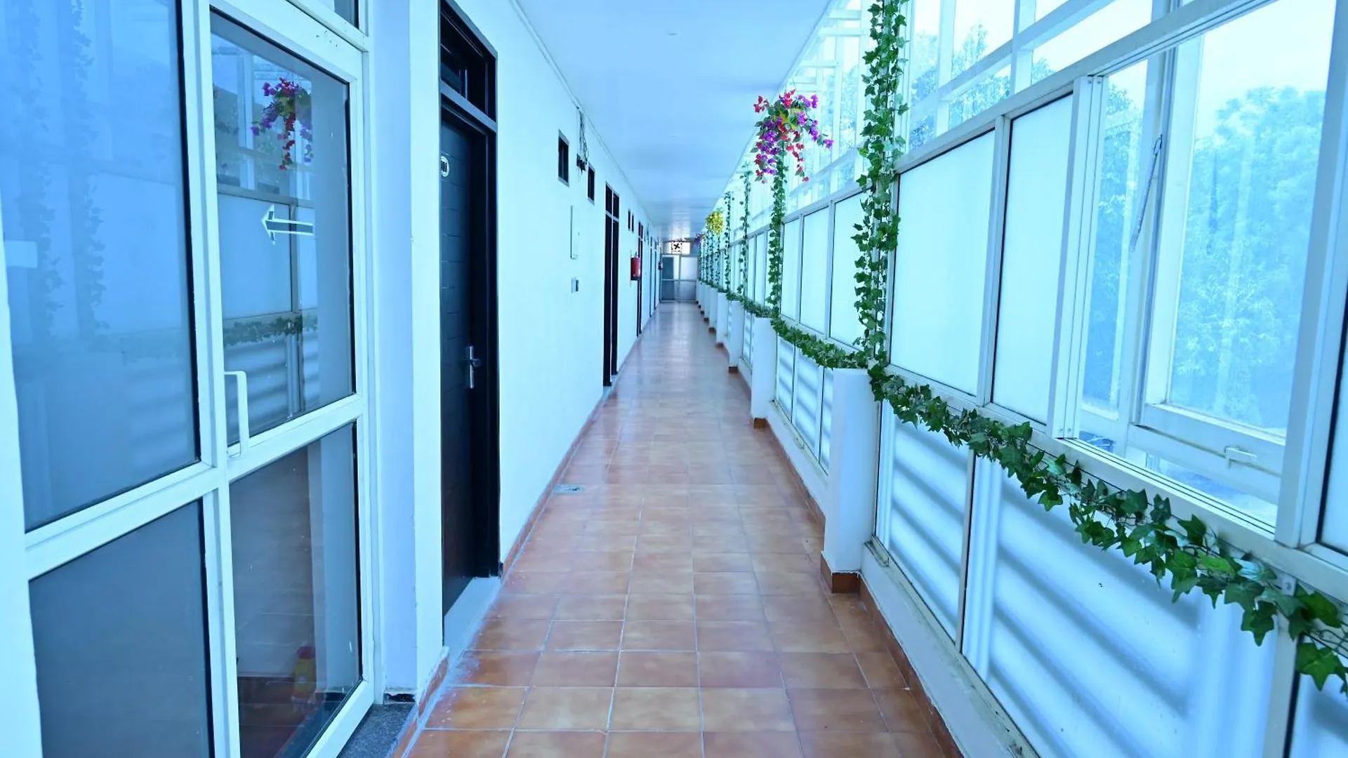Date Palm Hotel Gurgaon